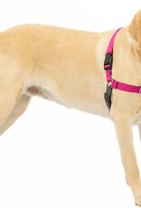 RADIO SYSTEMS CORP(PET SAFE) Easy Walk Harness Large Raspberry