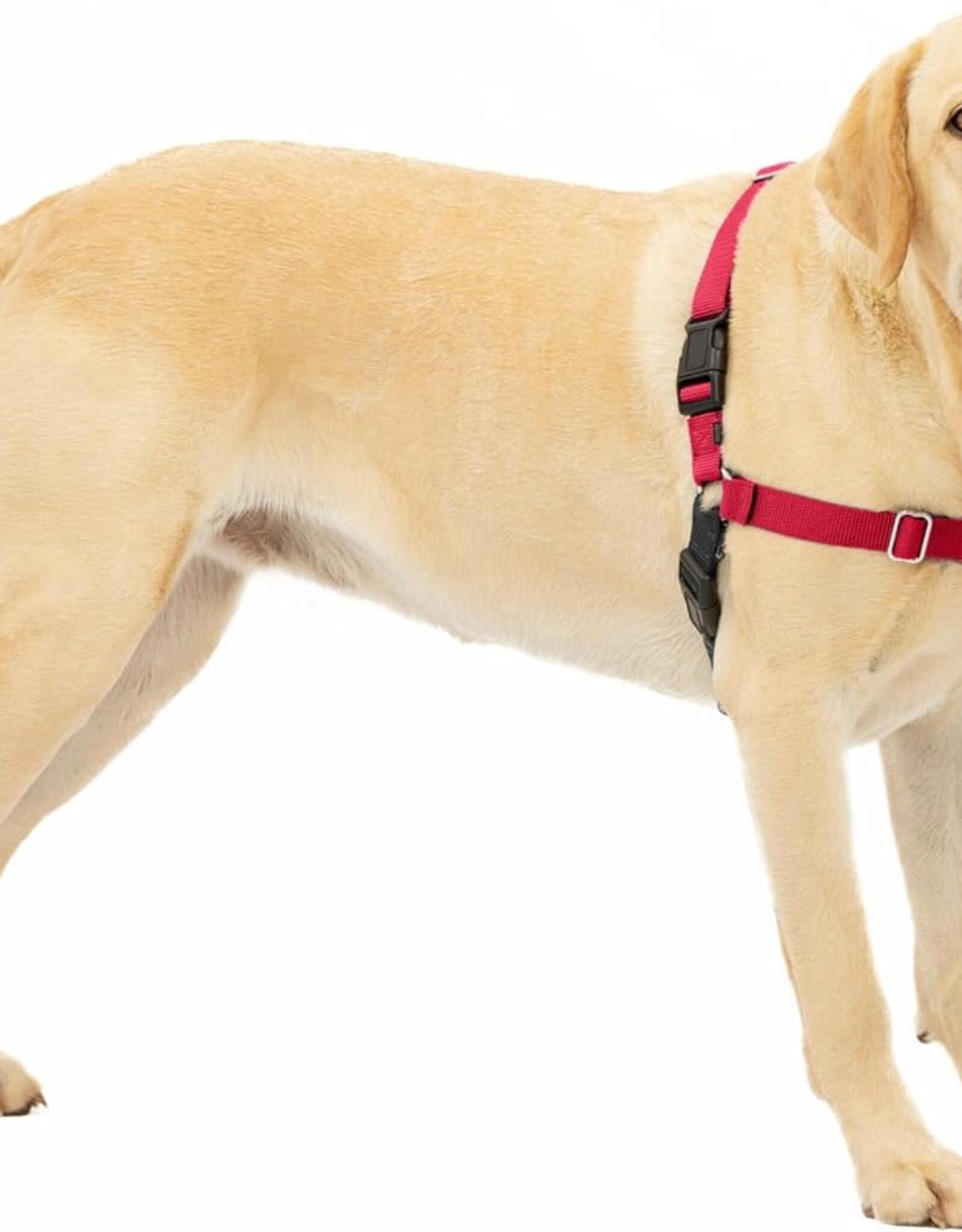 RADIO SYSTEMS CORP(PET SAFE) Easy Walk Harness Large, red