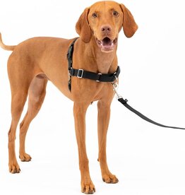 RADIO SYSTEMS CORP(PET SAFE) Easy Walk Harness Medium Black