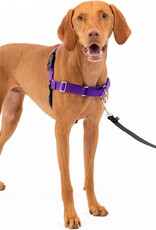 RADIO SYSTEMS CORP(PET SAFE) Easy Walk Harness Medium Deep Purple