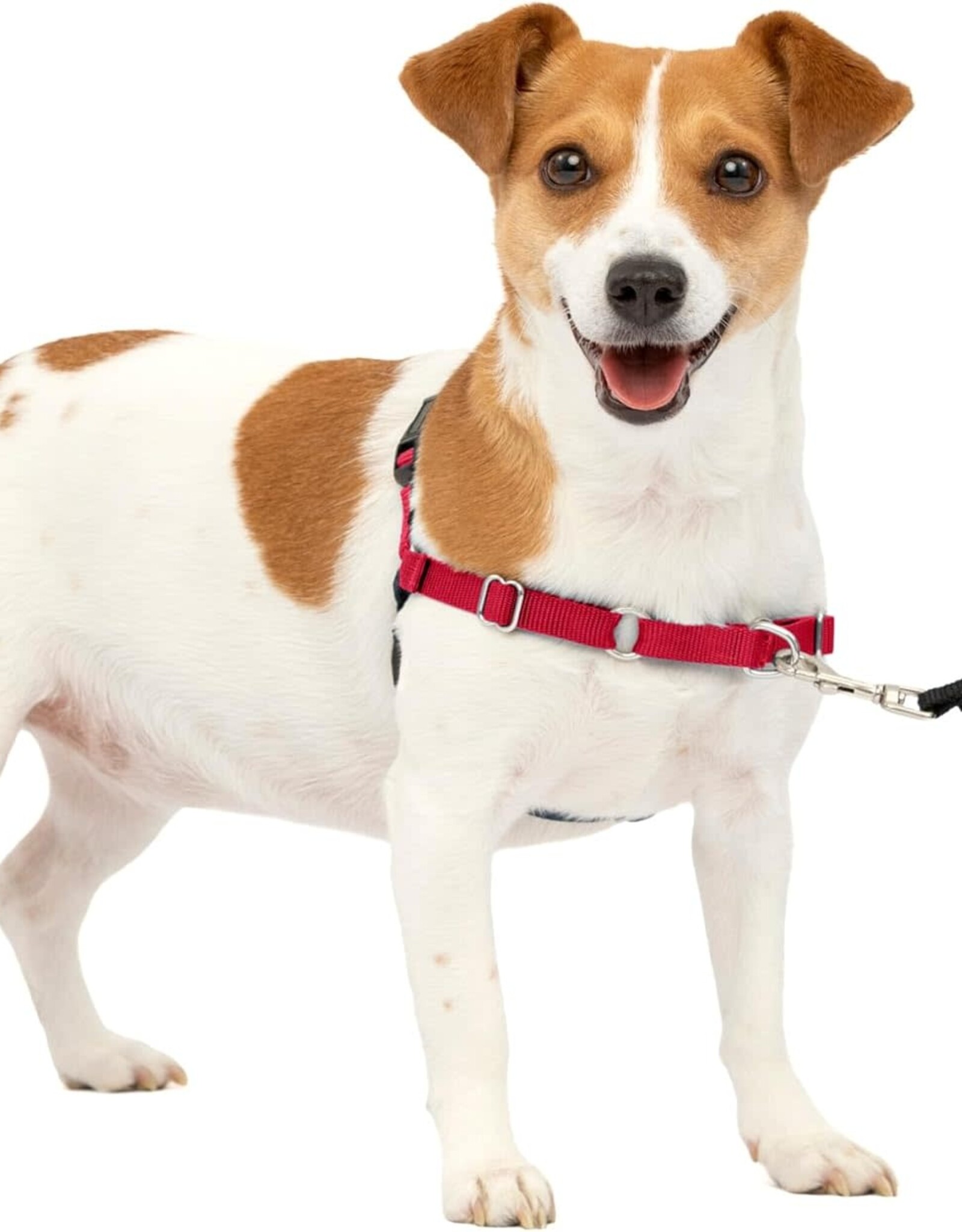 RADIO SYSTEMS CORP(PET SAFE) Easy Walk Harness Small, red