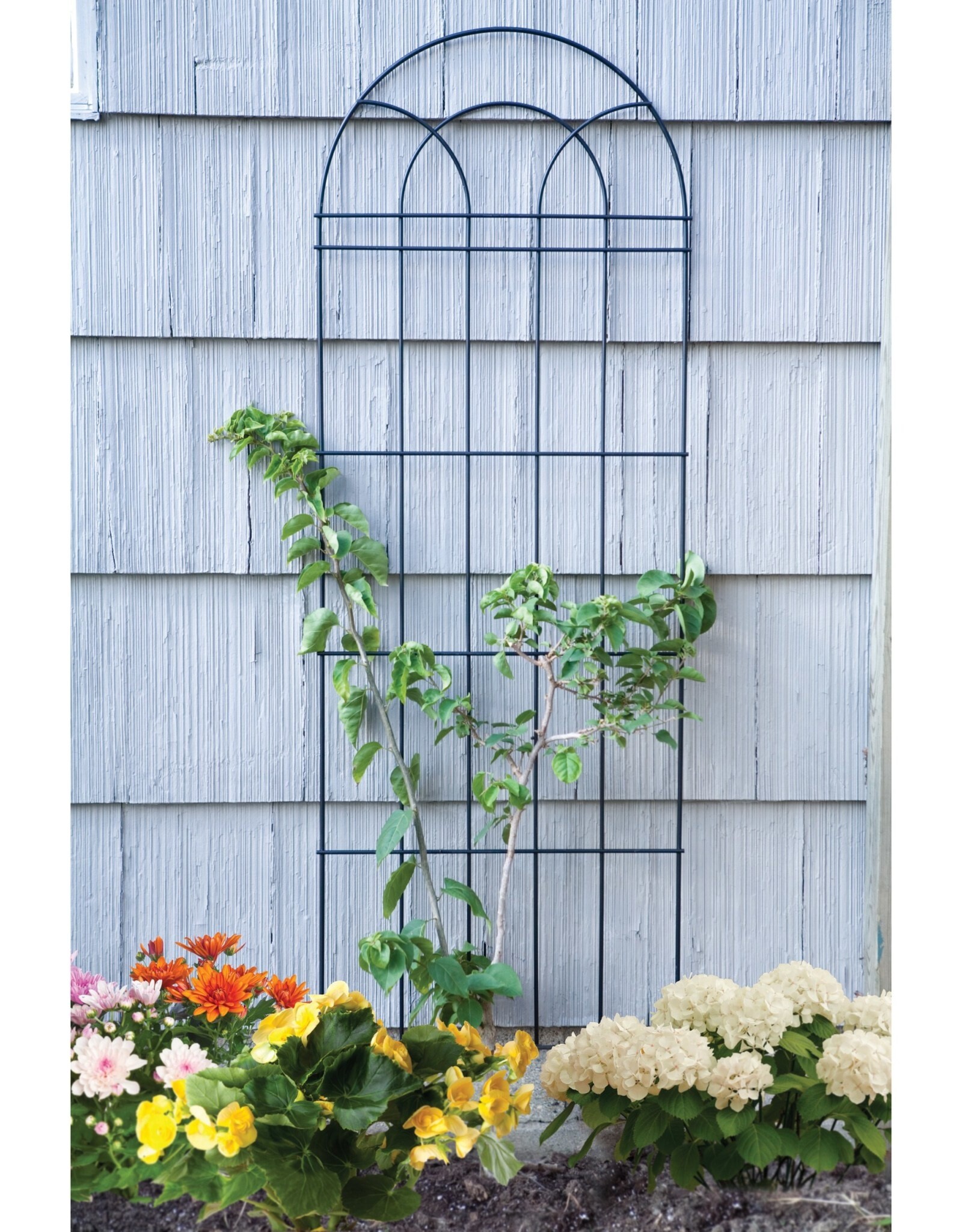 Panacea® Classic Trellis  - 72in - Black