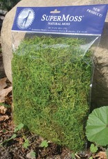 SuperMoss® Preserved Forest Moss  - Green - 4oz (120cu in) / Bagged