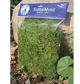 SuperMoss® Preserved Forest Moss  - Green - 4oz (120cu in) / Bagged