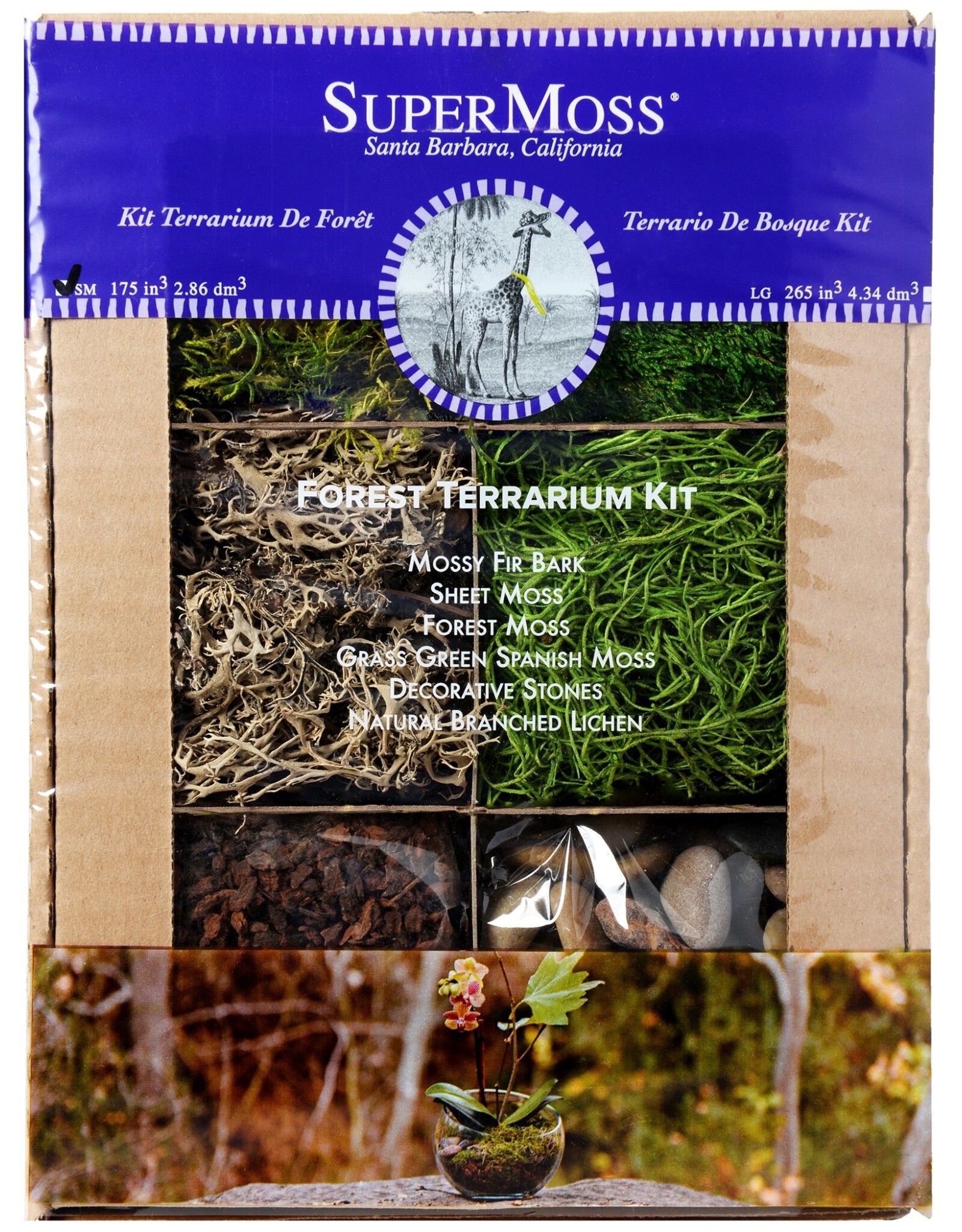 SuperMoss® Terrarium Kit  - Forest Kit