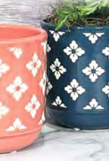 Tansy Planter - Assorted 5"