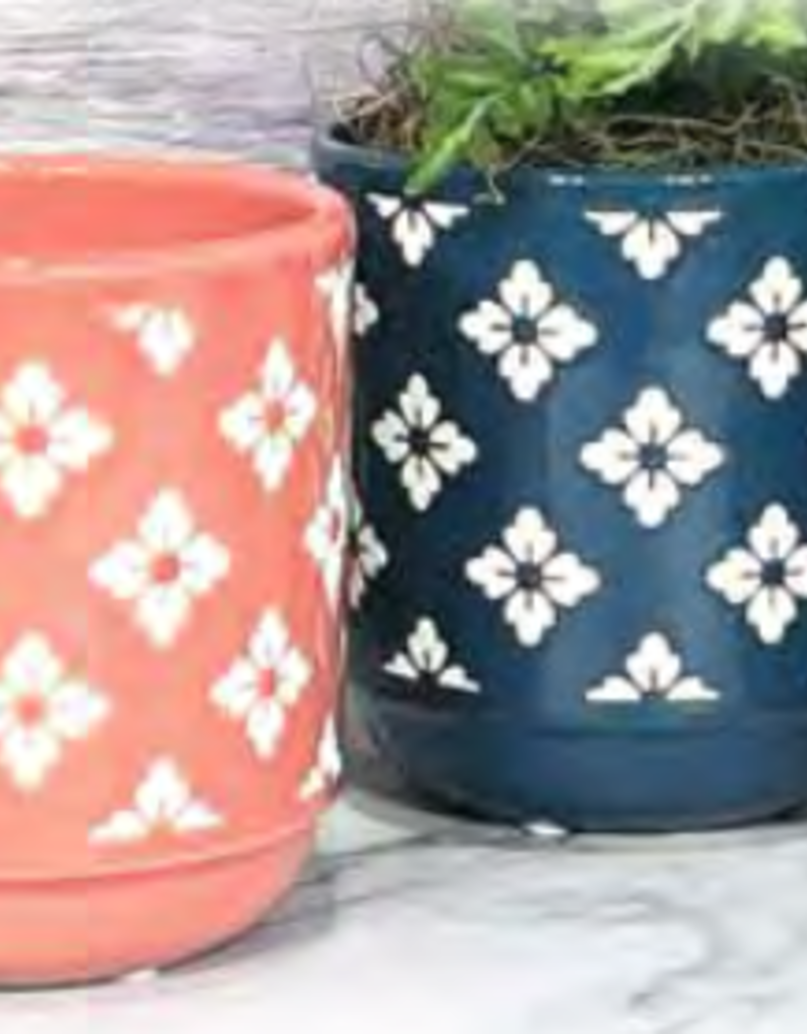 Tansy Planter - Assorted 5"