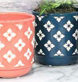 Tansy Planter - Assorted 5"
