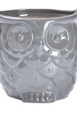 Whimsy Owl Planter – Grey 7″ x 7.25″