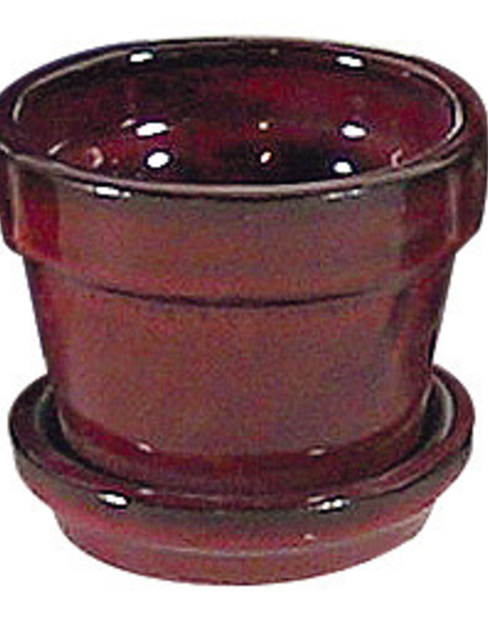 Standard Pot with Attached Saucer – Tropical Red 8.25″ x 6.75″
