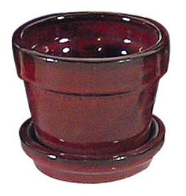 Standard Pot with Attached Saucer – Tropical Red 8.25″ x 6.75″