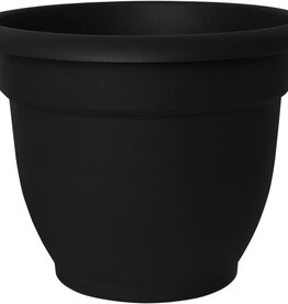 Bloem Ariana Black 20in