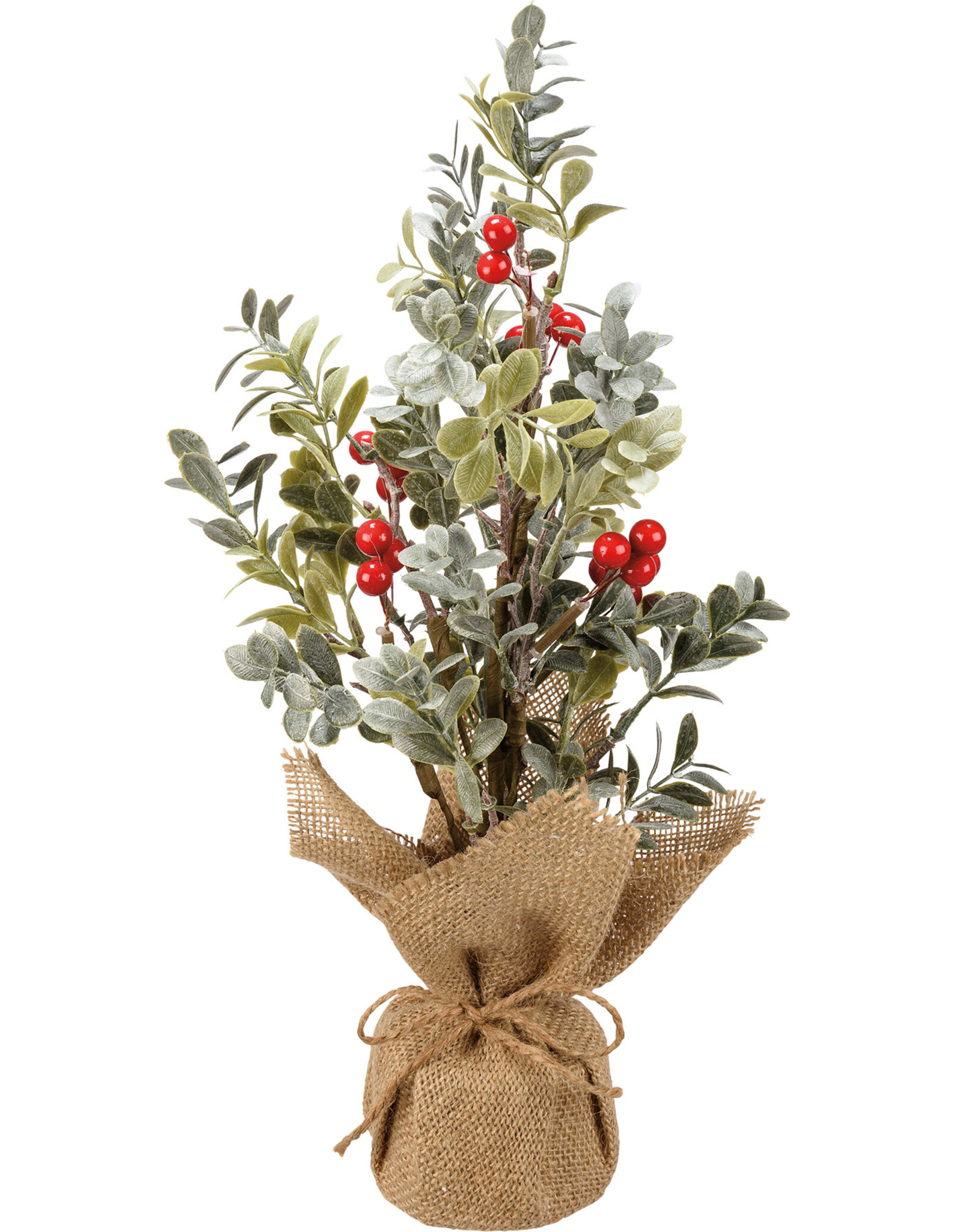 Eucalyptus And Berries Small Tree