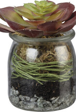Red Rosette Succulent Jar