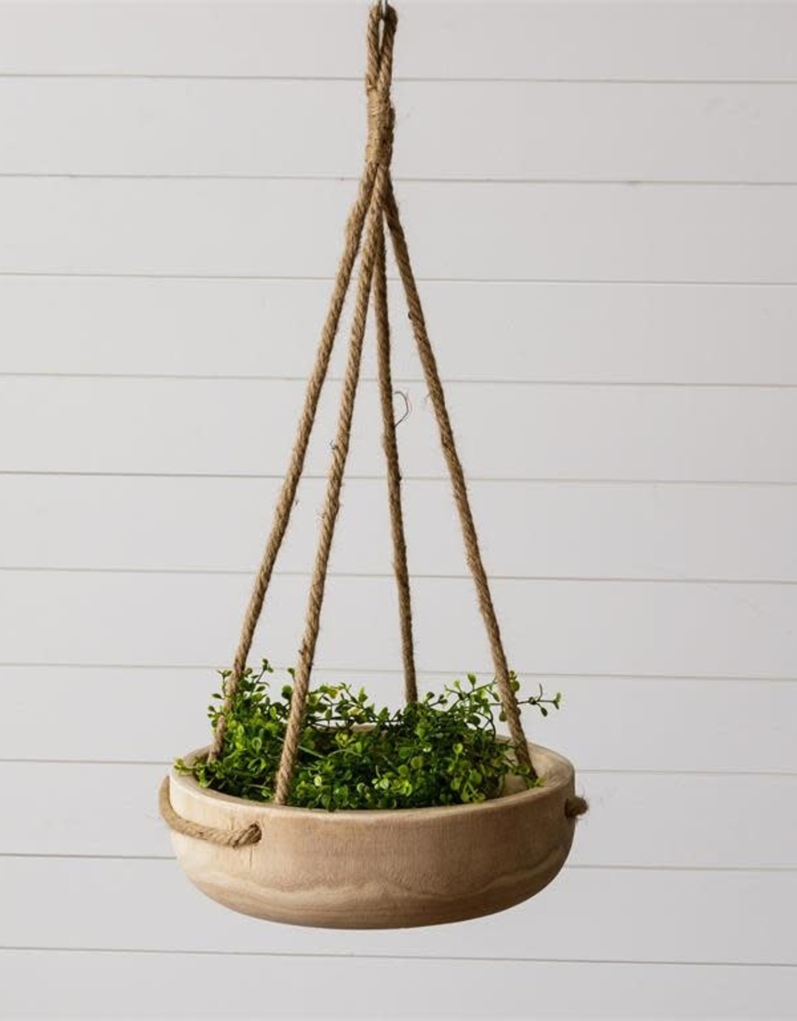 Round Paulownia Hanging Bowl Planter 3.5" H x 12" Dia