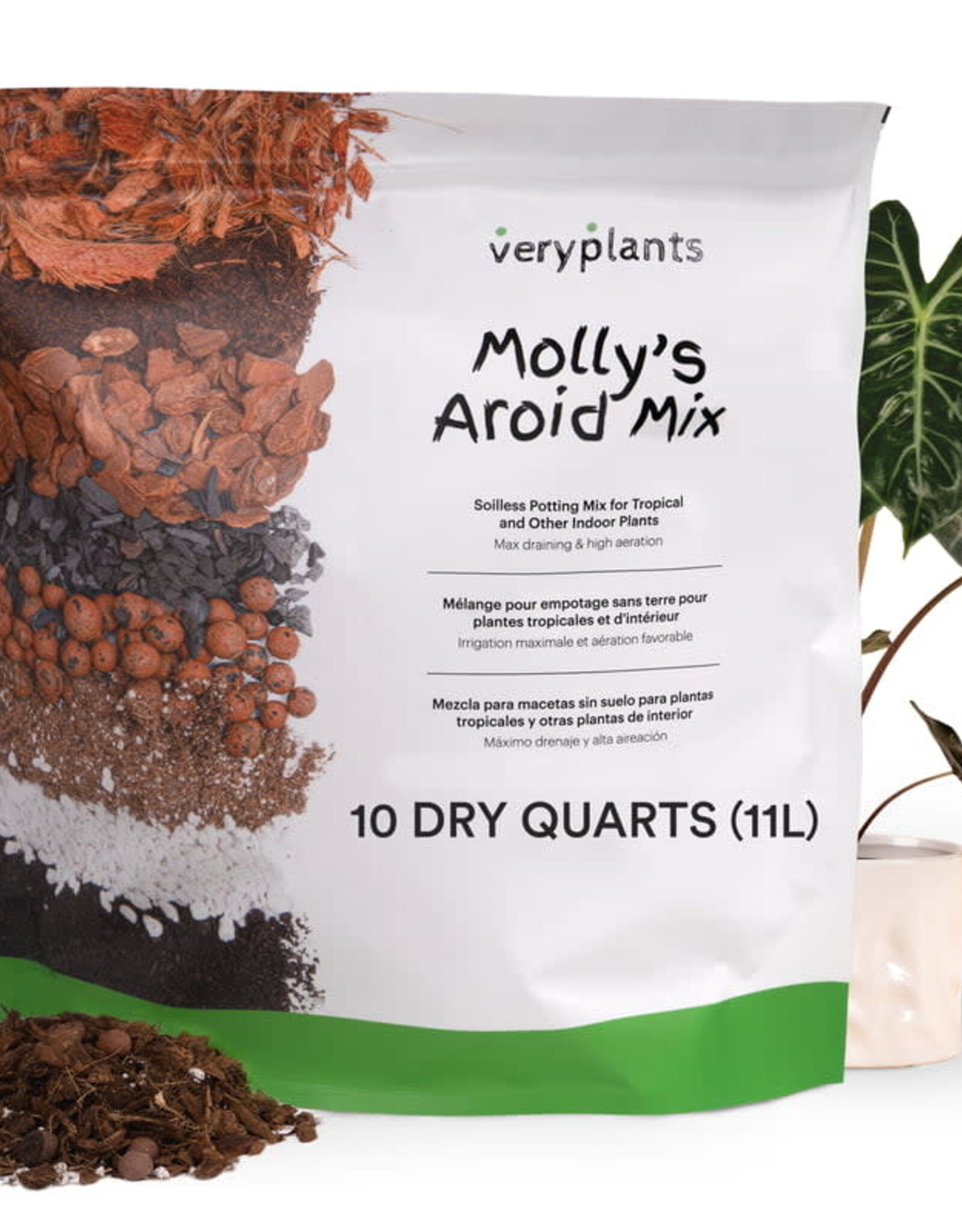 VeryPlants Molly's Aroid Mix • 10 qts