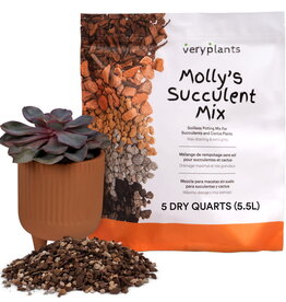 VeryPlants Molly's Succulent Mix • 5 Dry Quarts