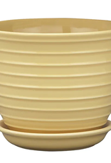 Jefferson Planter, 6.25" x 5", Daffodil