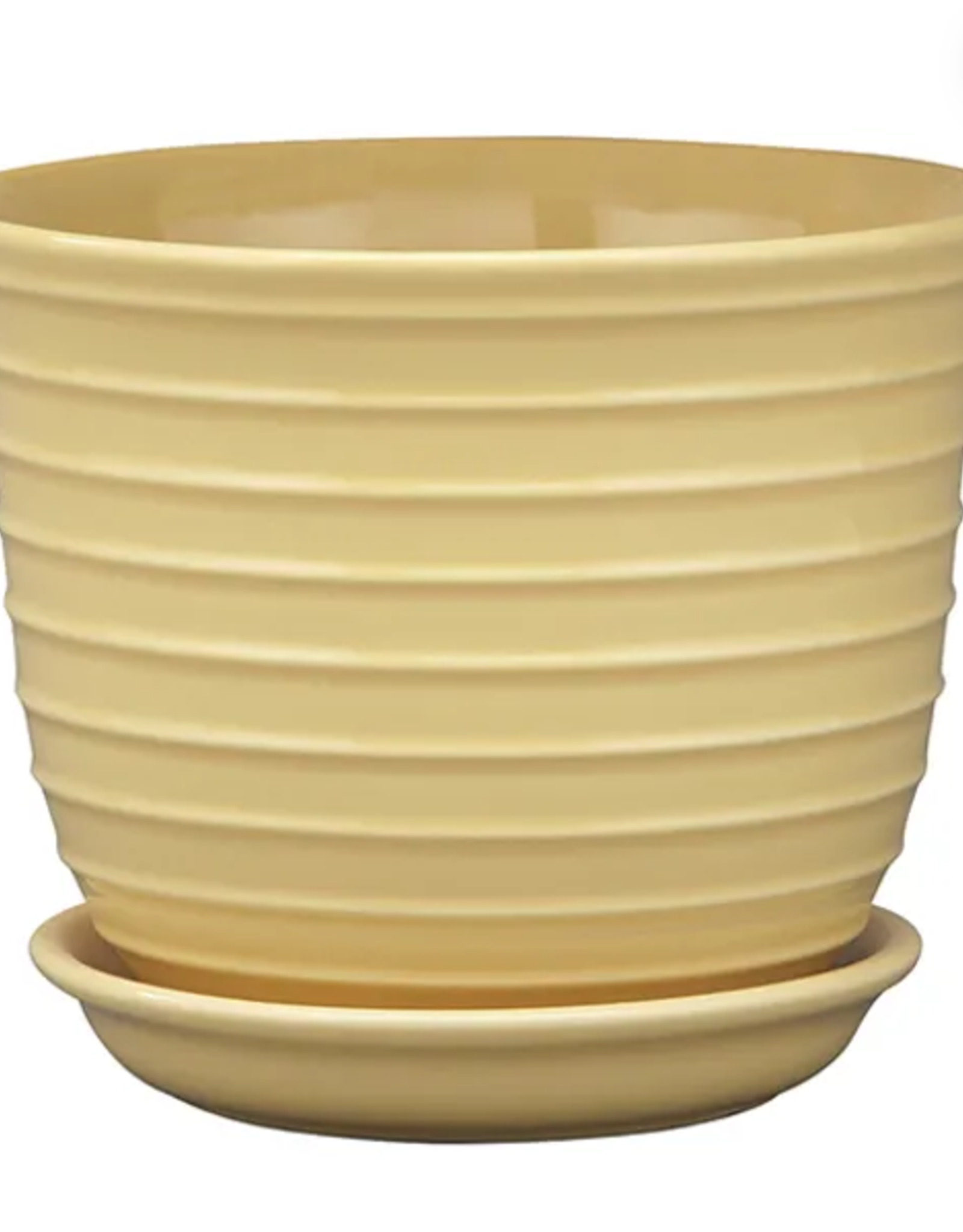 Jefferson Planter, 6.25" x 5", Daffodil
