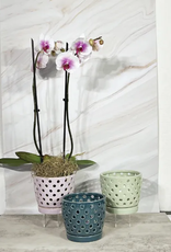 Pierced Orchid Pot, 5.5" x 4.75", Assorted