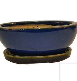 Bonsai Pot, 6.5" x 4.75" x 2.75", Assorted