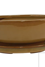 Bonsai Pot, 6.5" x 4.75" x 2.75", Assorted