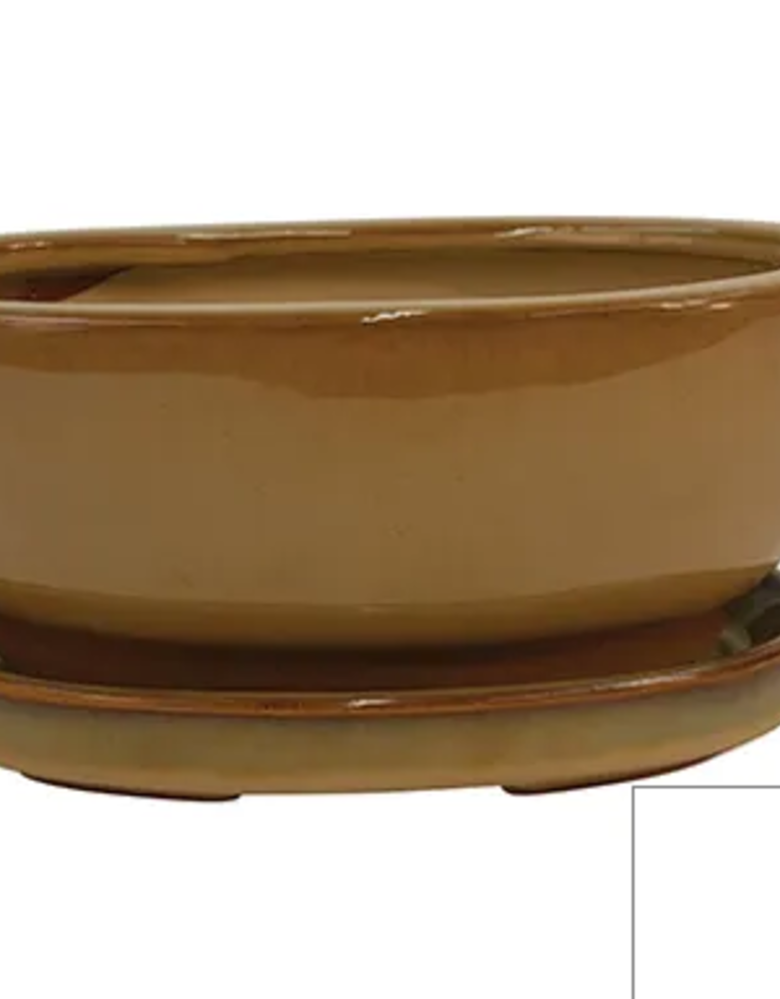 Bonsai Pot, 6.5" x 4.75" x 2.75", Assorted