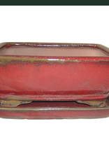 Professional Bonsai Pot, 8.5" x 6.5" x 3.5", Assorted