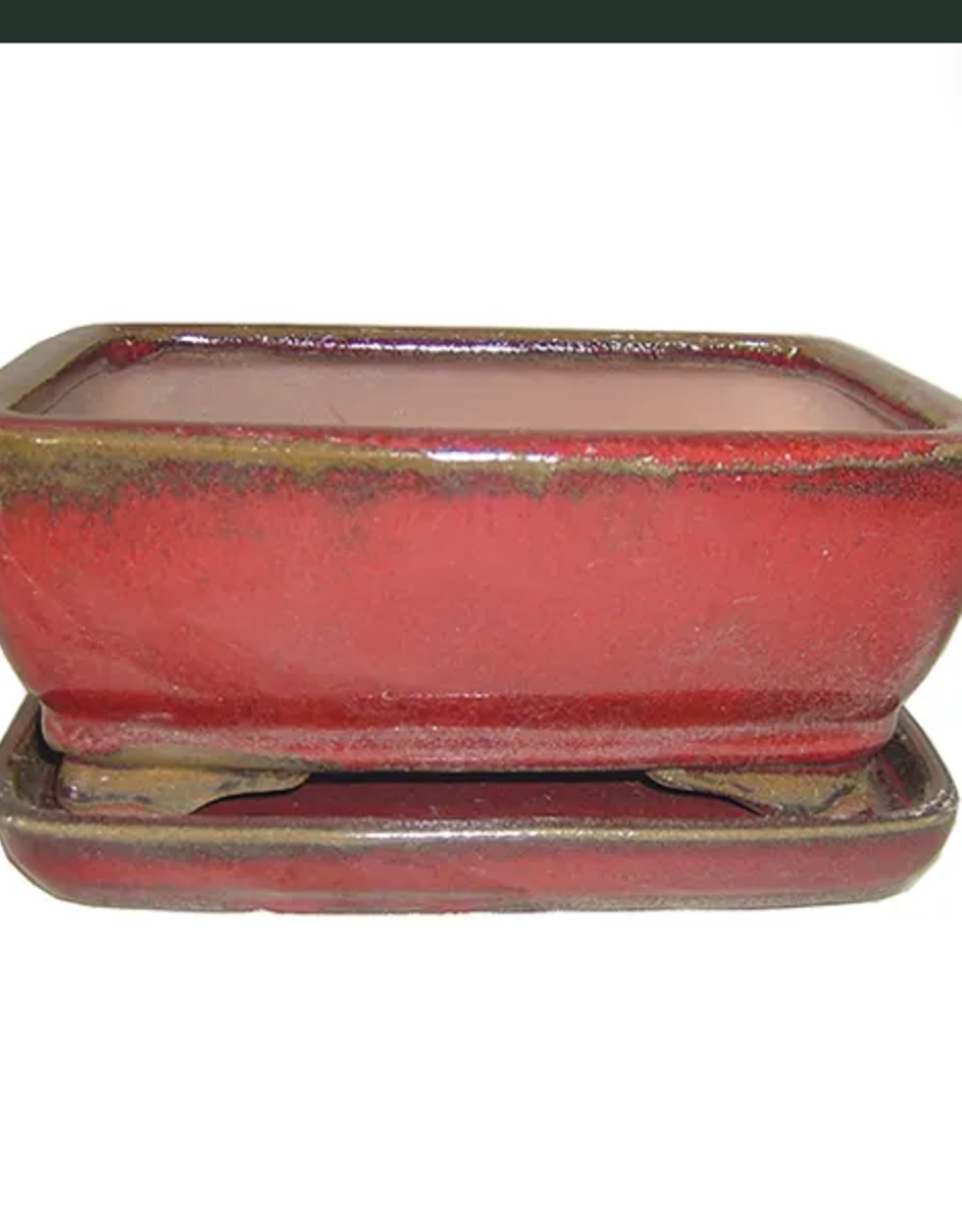 Professional Bonsai Pot, 8.5" x 6.5" x 3.5", Assorted