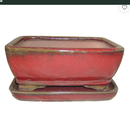 Professional Bonsai Pot, 8.5" x 6.5" x 3.5", Assorted