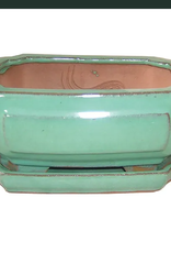 Professional Bonsai Pot, 8.5" x 6.5" x 3.5", Assorted