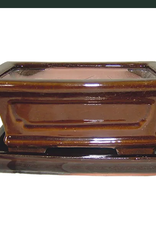 Professional Bonsai Pot, 8.5" x 6.5" x 3.5", Assorted