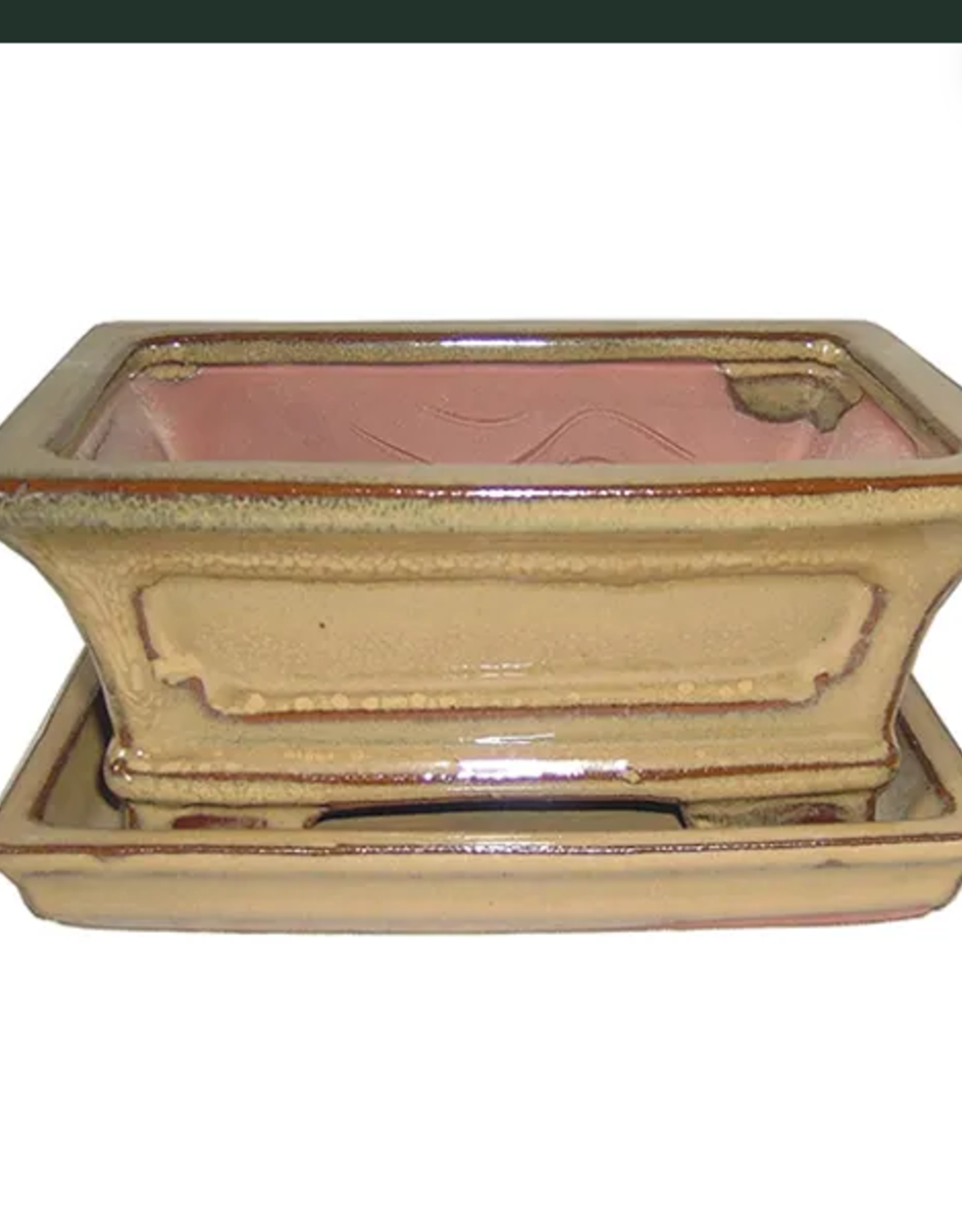 Professional Bonsai Pot, 8.5" x 6.5" x 3.5", Assorted