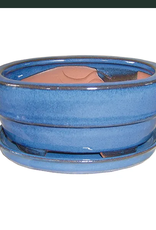 Professional Bonsai Pot, 8.5" x 6.5" x 3.5", Assorted