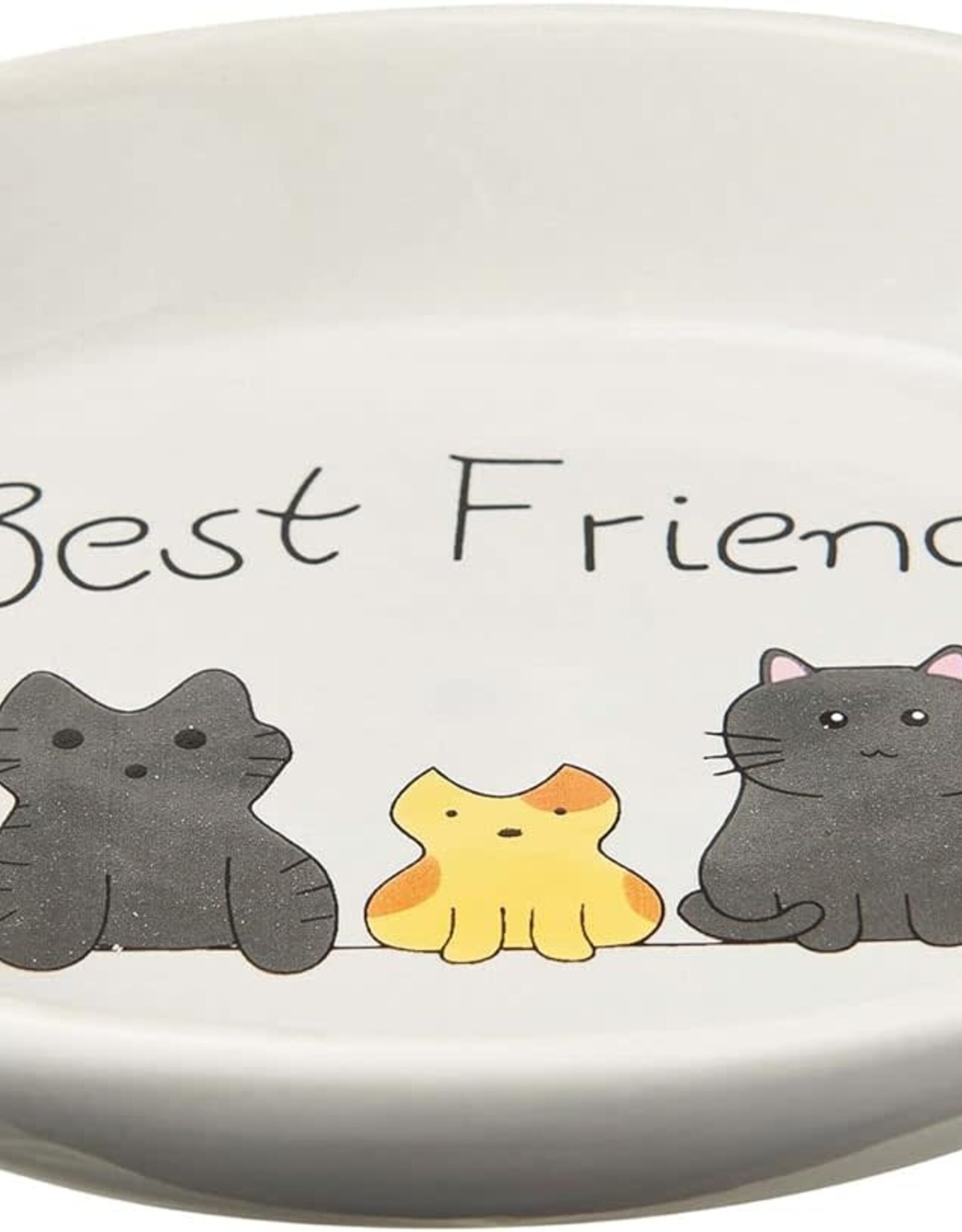 ETHICAL PRODUCT INC. BEST FRIENDS OVAL CAT DISH 6 inch