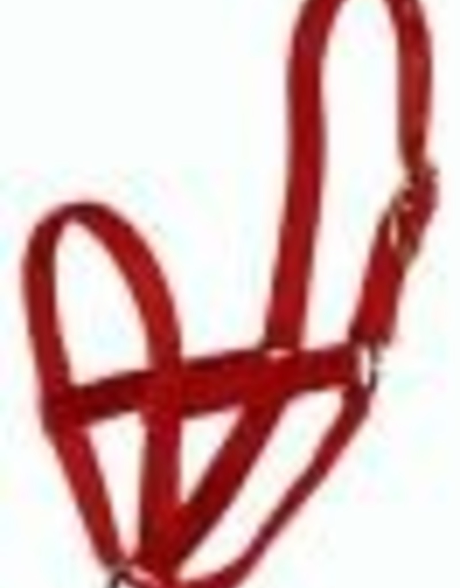 Hamilton Pet COW HALTER CONTROL  RED 31CC HAM