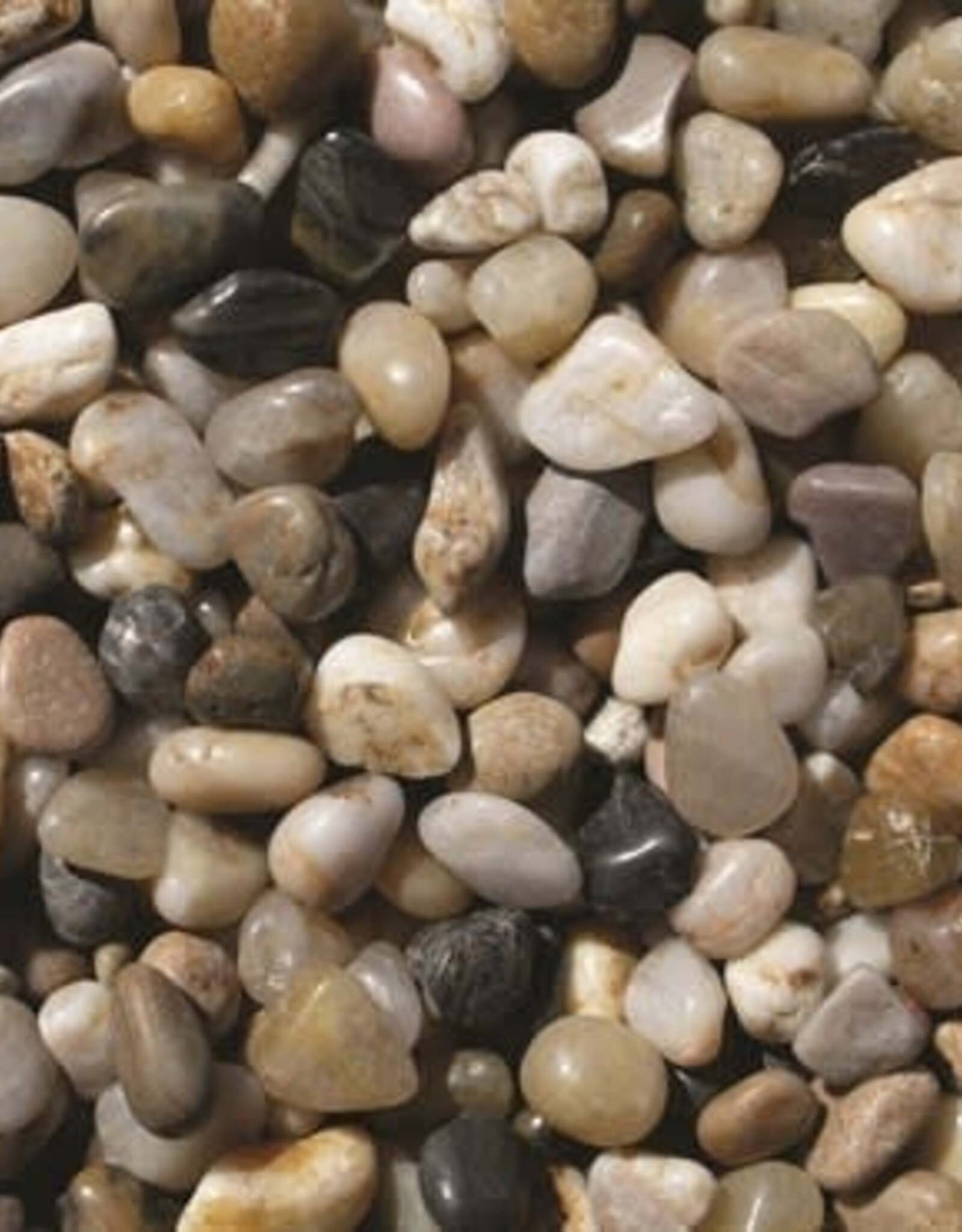 Exotic Pebbles® Polished Pebbles  - 5lb Bag - Mixed - Gravel Size - 3/8in