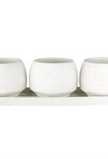 Syndicate Home & Garden® Stoneware Trio Planters  - 3in x 3in - White - Assortment