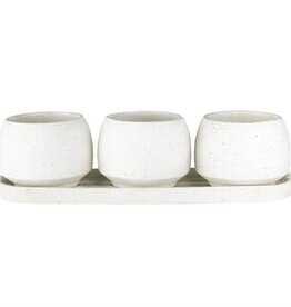 Syndicate Home & Garden® Stoneware Trio Planters  - 3in x 3in - White - Assortment