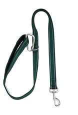 BayDog Hudson Leash Green 4'