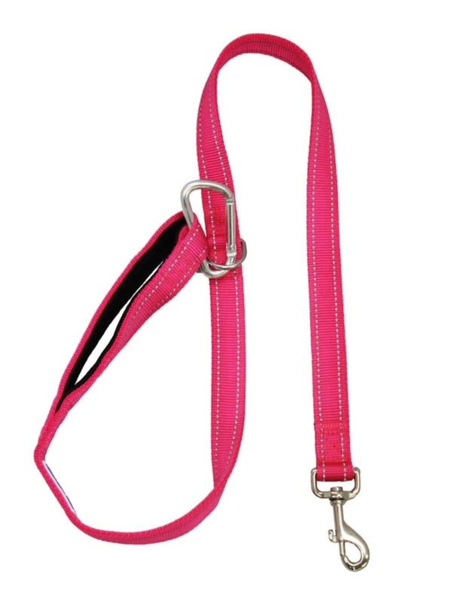 BayDog Hudson Leash Pink 4'