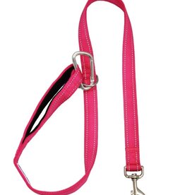 BayDog Hudson Leash Pink 4'
