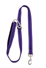 BayDog Hudson Leash Purple 4'