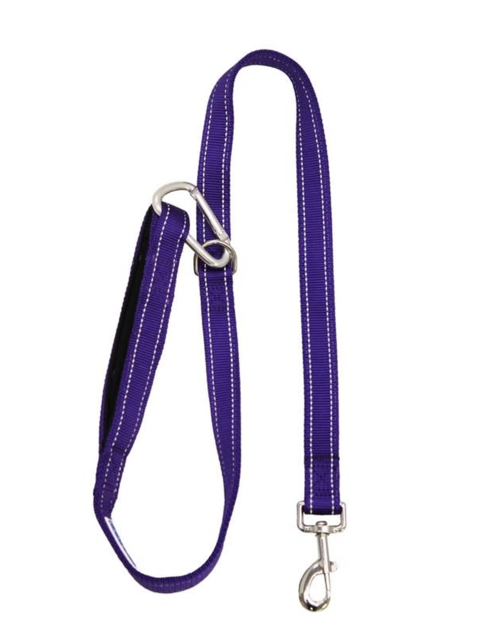 BayDog Hudson Leash Purple 4'