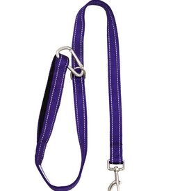 BayDog Hudson Leash Purple 4'