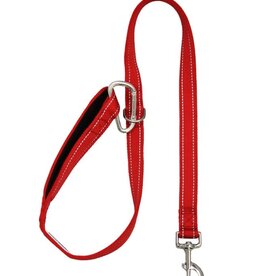 BayDog Hudson Leash Red 4'