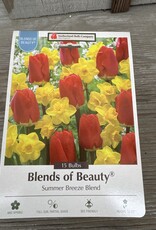 Netherland Bulb Company Assorted Bulb Package Summer Breeze Blend 15/pk