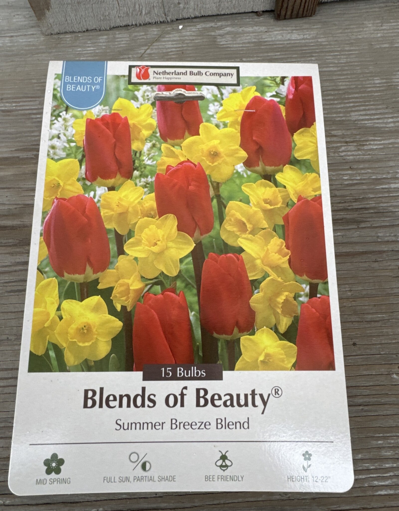 Netherland Bulb Company Assorted Bulb Package Summer Breeze Blend 15/pk