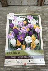 Netherland Bulb Company Crocus Large Flowering Mixture 15 /pack