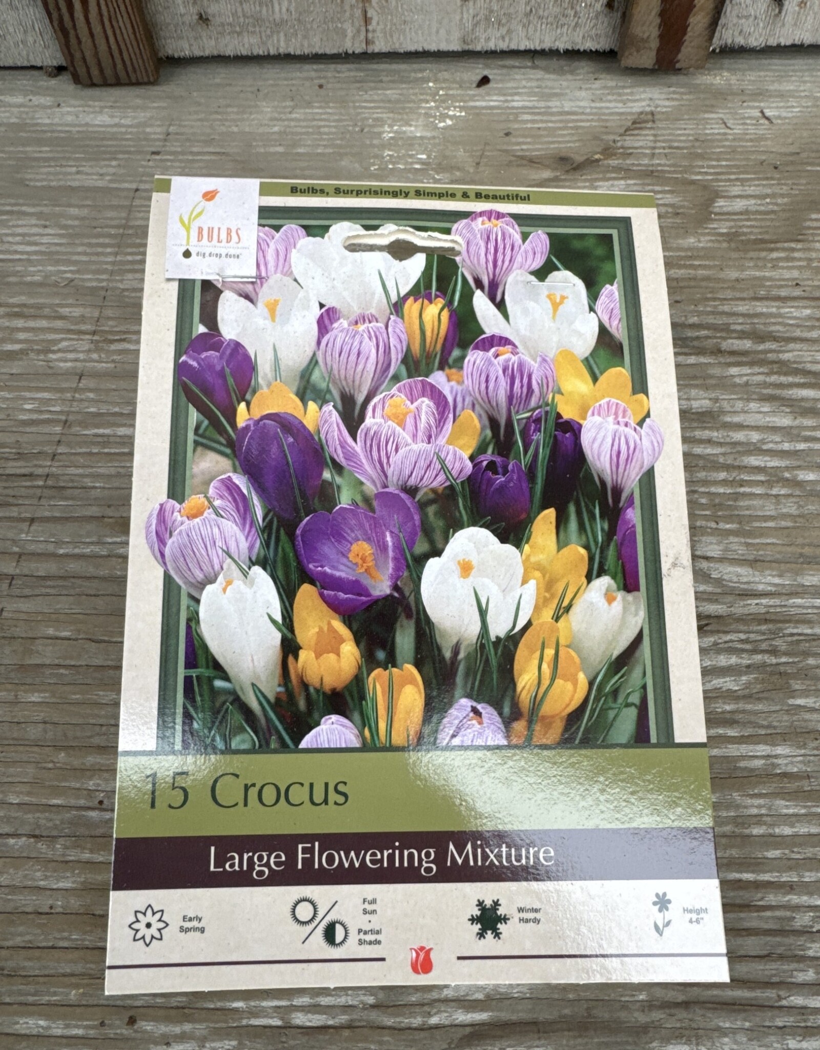 Netherland Bulb Company Crocus Large Flowering Mixture 15 /pack